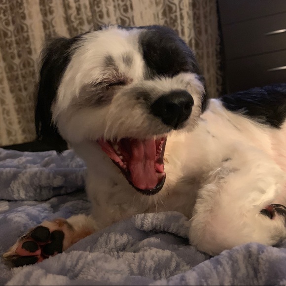 Meet your Posher, Ines - Picture 3 of 5